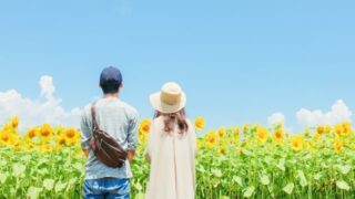 ひまわり畑を眺めるカップル